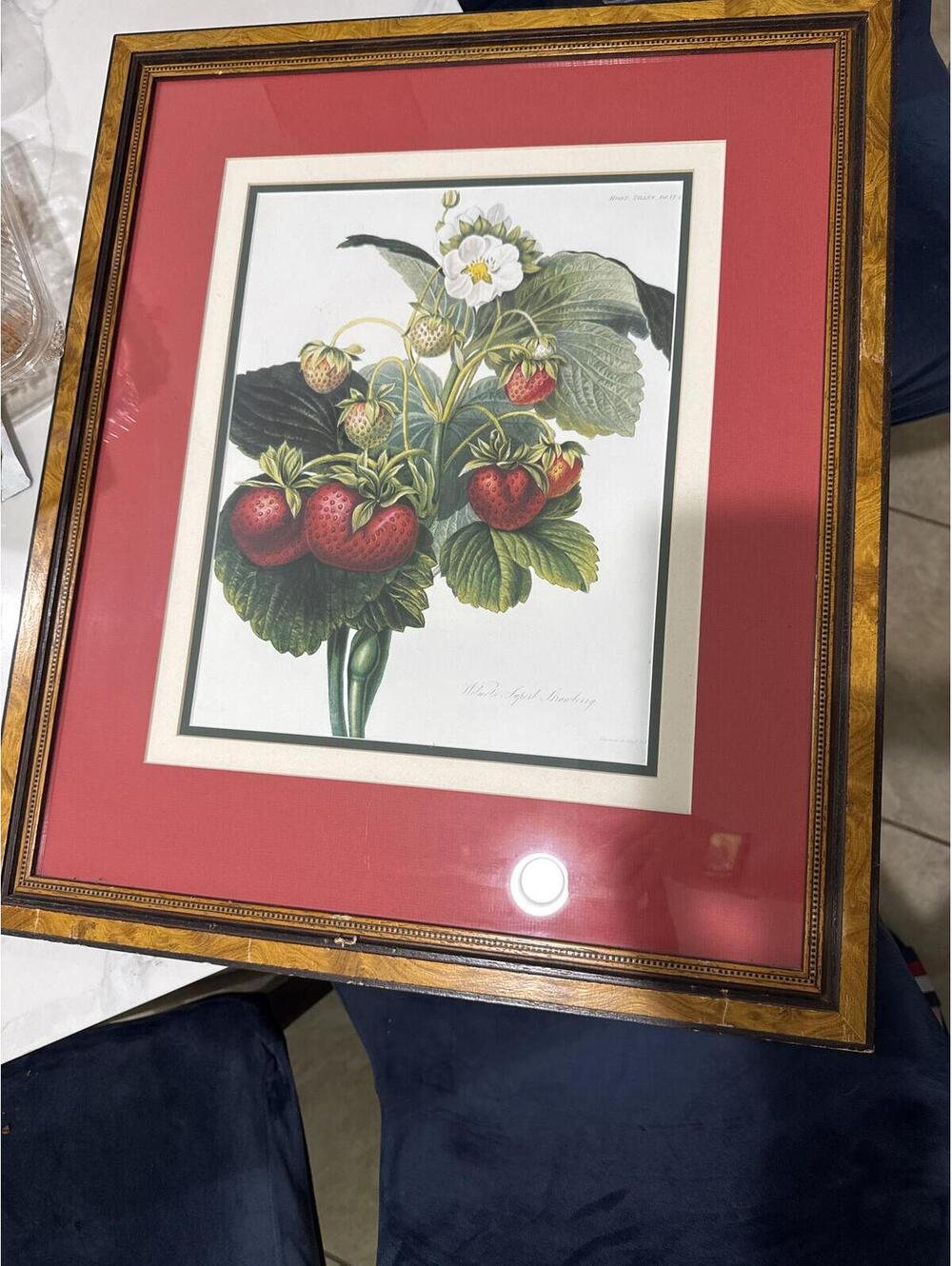 Framed Botanical Print of Strawberries